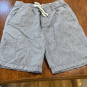 Banana Republic Navy and White Striped Flat Front Shorts
